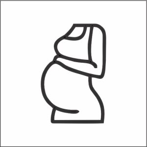 بارداری